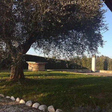 La Zavorrina *