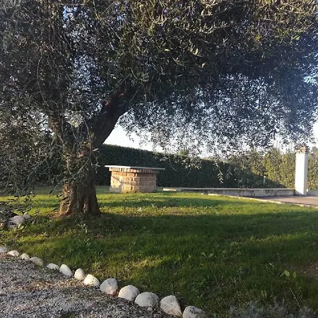 La Zavorrina
