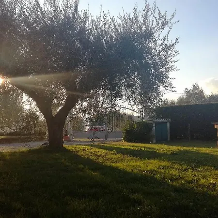 La Zavorrina Monsampolo Del Tronto
