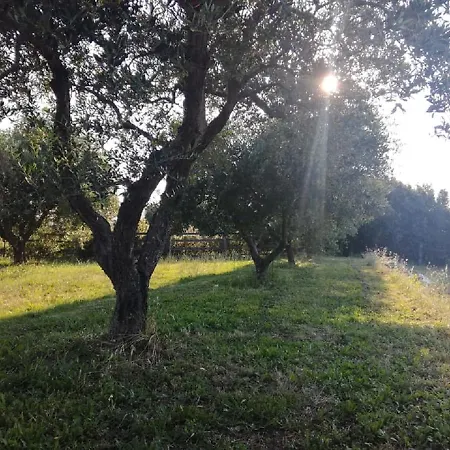 La Zavorrina