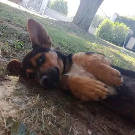 Oda ve Kahvaltı La Zavorrina